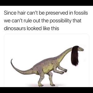 Meet your Posher, Lily